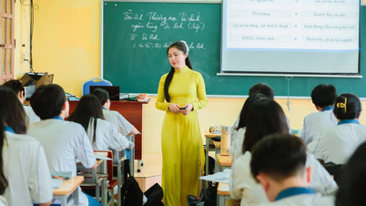 Urgent need to innovate specialized school model