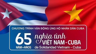 Ca Mau responds to donations to support the Cuban people