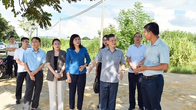 The working delegation of the Provincial People's Council Standing Committee surveyed Ho Toan Joint Stock Company.