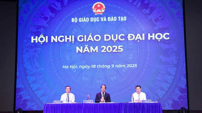Nghị quyết số 71-NQ/TW mở đường cho giáo dục đại học phát triển mạnh mẽ