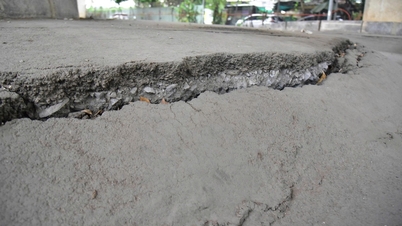 タンビン、第12区、ゴーバップなどの古い地区はなぜ他の地域のように沈下しないのでしょうか?