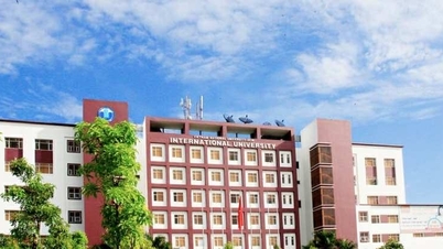 Một trưởng phòng tổ chức cán bộ bị tố đạo văn làm luận án tiến sĩ