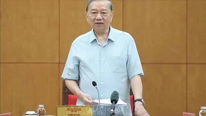 General Secretary To Lam chaired a working session on a number of contents of the Land Law (amended) and related laws.