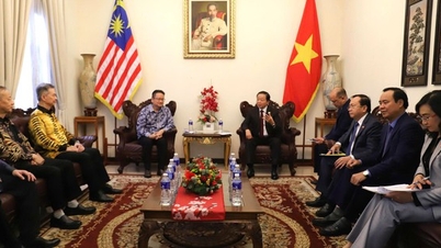 Deputy Prime Minister Tran Hong Ha received leaders of several Malaysian associations and businesses.