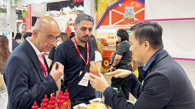 Der Weg, vietnamesisches Chili auf den internationalen Markt zu bringen