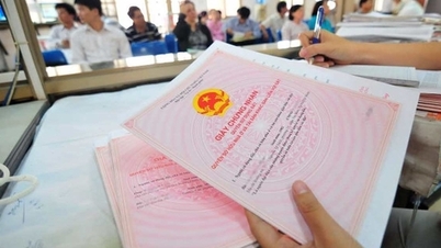 Hanoi regulates the time to issue red books to people to a maximum of 20 working days.