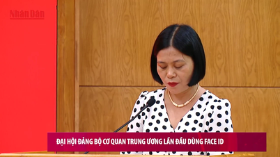 [영상] 중앙당 기관 당위원회, 당대회 준비 상황 보고