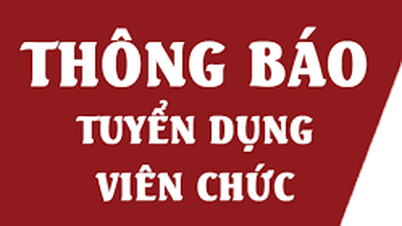 Tuyển dụng viên chức trong các đơn vị sự nghiệp công lập thuộc Cục Thể dục thể thao Việt Nam năm 2025