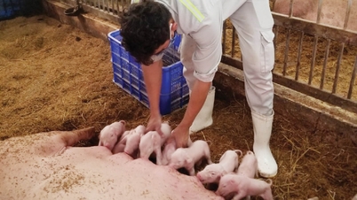 Продвижение органического сельского хозяйства и циклической экономики