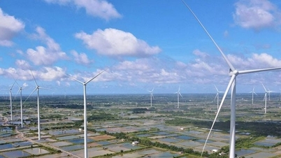 Dự án điện gió ở Cần Thơ lỗ hơn 490 tỷ đồng, nợ vay gấp 19 lần vốn chủ sở hữu