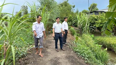 Leaders of Tan Thanh Commune People's Committee inspected the agricultural production situation.