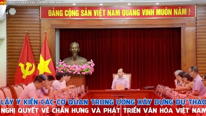 ពិគ្រោះយោបល់ជាមួយស្ថាប័នមជ្ឈិម ដើម្បីរៀបចំសេចក្តីសម្រេចចិត្តស្តីពីការរស់ឡើងវិញ និងអភិវឌ្ឍន៍វប្បធម៌វៀតណាម