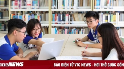 Ranking of Vietnamese universities in the world rankings 2025