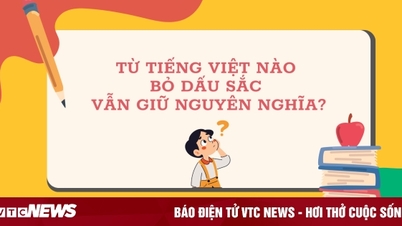 איזו מילה וייטנאמית שומרת על משמעותה גם אם מוסרים את המבטא?