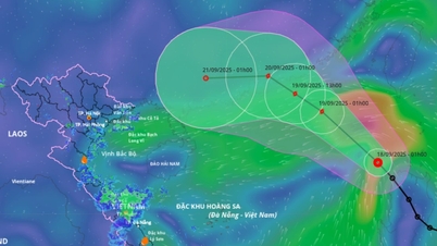 Das tropische Tiefdruckgebiet hat das Ostmeer erreicht und wird sich heute, am 18. September, voraussichtlich zu Sturm Nummer 8 verstärken und in vielen See- und Festlandgebieten der Zentralregion heftige Regenfälle verursachen.