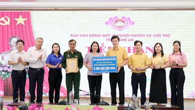 Ho-Chi-Minh-Stadt unterstützt Nghe An mit 8 Milliarden VND zur Überwindung der Folgen von Naturkatastrophen