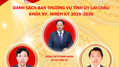 បញ្ជីឈ្មោះគណៈកម្មាធិការអចិន្ត្រៃយ៍នៃគណៈកម្មាធិការគណបក្សខេត្ត អាណត្តិទី XV ឆ្នាំ ២០២៥-២០៣០