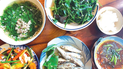 린피쉬로 즐기는 홍수철의 맛