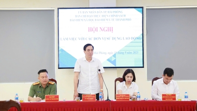 Hai Phong Social Insurance oppfordrer til innkreving og reduserer forsinket betaling av forsikring hos bedrifter
