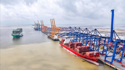 Hai Phong gjenerobrer havet og bygger en karriere