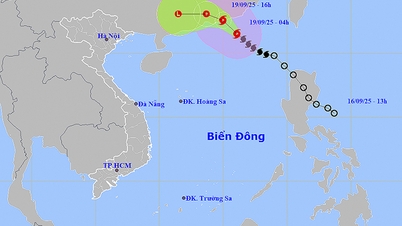 Weather forecast for September 19: Storm No. 8 moves into mainland Guangdong (China)