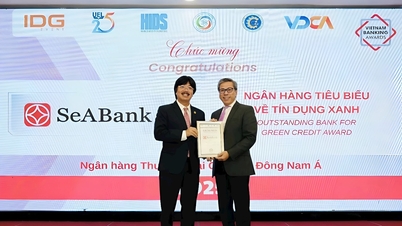 SeABank potvrzuje svou udržitelnou značku dvěma oceněními za vynikající vietnamské bankovnictví