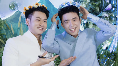 Ninh Dương Story dừng tổ chức fan meeting