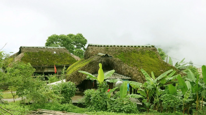 タイコンリンの森の真ん中にあるザオ族の原始的な苔の家村、ザピン