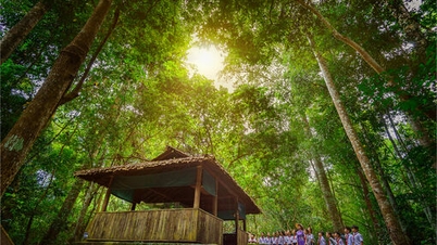 ការគ្រប់គ្រងប្រកបដោយប្រសិទ្ធភាពនៃវត្ថុបុរាណ