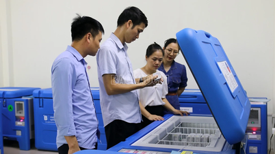 Viện vệ sinh dịch tễ Trung ương giám sát công tác quản lý, bảo quản vắc xin và dây chuyền lạnh tại Lào Cai