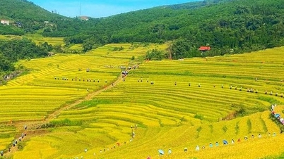 Festival terasovitých polí na kopci