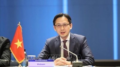 Khẳng định cam kết của Việt Nam đối với chủ nghĩa đa phương