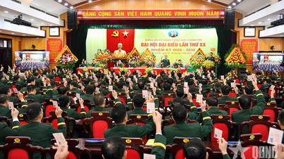 Breakthrough in organization, staffing, regularization, law enforcement, and discipline in the Army