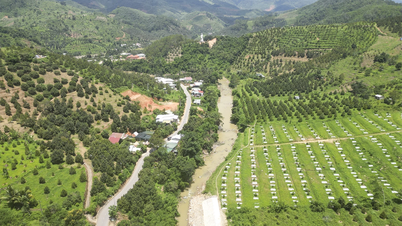 Begrüßung des 1. Kongresses des Parteikomitees der Provinz Khanh Hoa, Amtszeit 2025 – 2030: Verknüpfung der Entwicklung westlicher Bergregionen