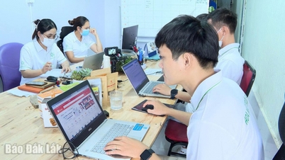 Croissance avec la transformation numérique : les jeunes entreprises rattrapent les nouvelles tendances