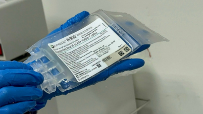 保健省、血液悪性腫瘍の治療におけるCAR-T細胞療法の見直しを要請