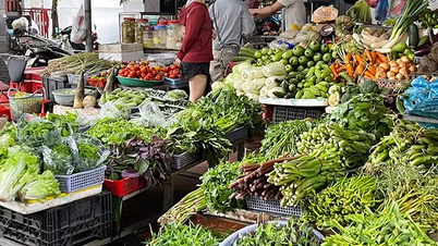 Strictly handle the act of "magically" transforming vegetables of unknown origin into clean vegetables to bring to schools.