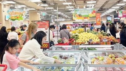 Hanoi consumer market flourishes