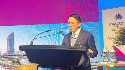 Sistem cukai Vietnam akan terus melakukan pembaharuan dengan kukuh selaras dengan sistem cukai antarabangsa.