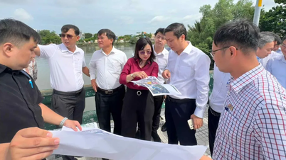 Der Wirtschafts- und Haushaltsausschuss untersuchte drei öffentliche Investitionsprojekte, die voraussichtlich der vierten Sitzung des Volksrats von Ho-Chi-Minh-Stadt vorgelegt werden.