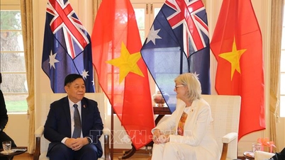 Toàn quyền Australia đánh giá cao sự phát triển tích cực trong quan hệ với Việt Nam