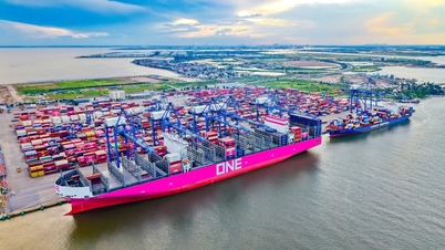 El puerto internacional de contenedores de Tan Cang Hai Phong da la bienvenida al barco más grande de la historia