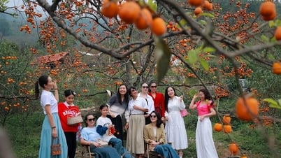 What does Nghe An do to 'retain' tourists in the Fall - Winter season?