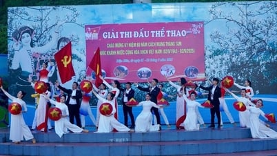 ディエンビエン：建国記念日を祝うエキサイティングな文化・スポーツイベント