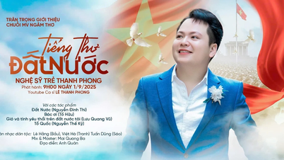 Seniman Le Thanh Phong membuat serangkaian MV yang membacakan puisi untuk merayakan Hari Nasional