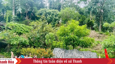 Kỳ nghỉ lễ Quốc khánh 2/9, lượng khách đến Thanh Hóa giảm mạnh