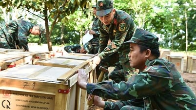 Listo para el espectáculo de fuegos artificiales para celebrar el Día Nacional el 2 de septiembre