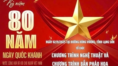 Πολλές δραστηριότητες για τον εορτασμό της 80ής Εθνικής Επετείου στις 2 Σεπτεμβρίου πραγματοποιήθηκαν στο Λανγκ Σον.
