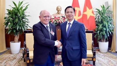 Anggota Tetap Komite Partai Kementerian Luar Negeri Ngo Le Van menerima delegasi Partai Komunis Brasil (PCdoB)