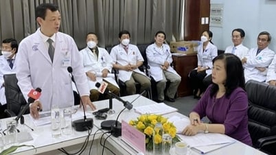 Directiva del Primer Ministro y tareas urgentes del sector médico